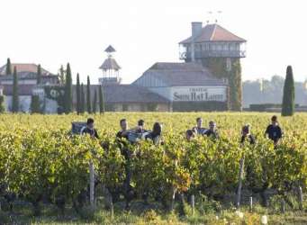 Wine Chateau Smith Haut Lafitte Bordeaux France