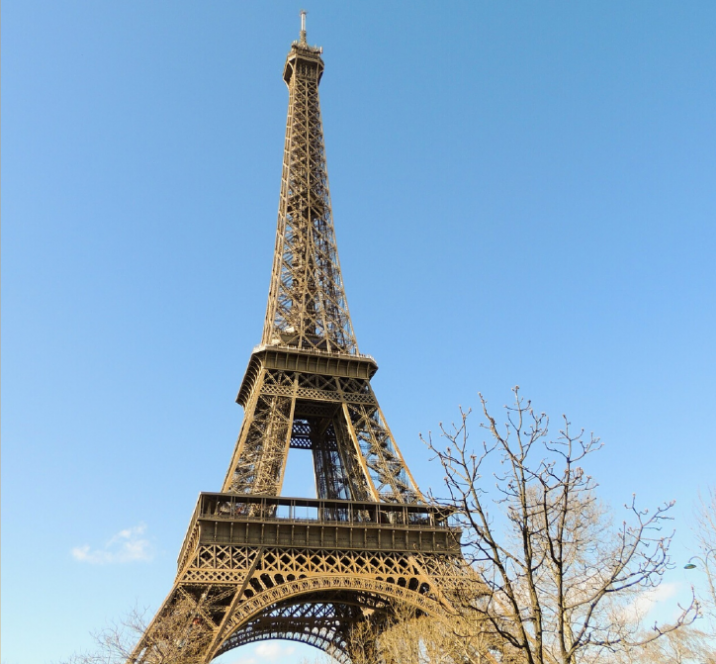 Future Visite VIP de la Tour Eiffel - ArtLuxury Experience