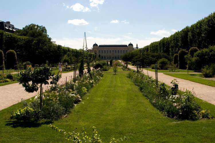 Jardins où la nature surprend