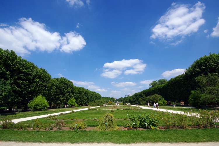 Jardins où la nature surprend