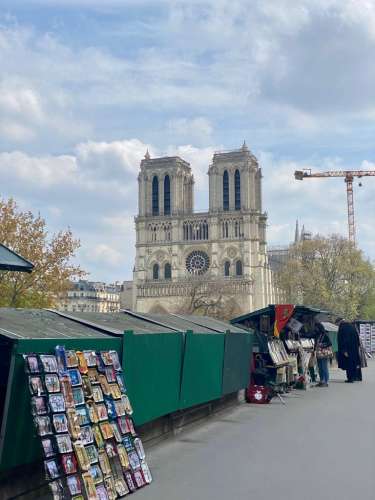 Notre Dame de Paris: Histoire et Restauration